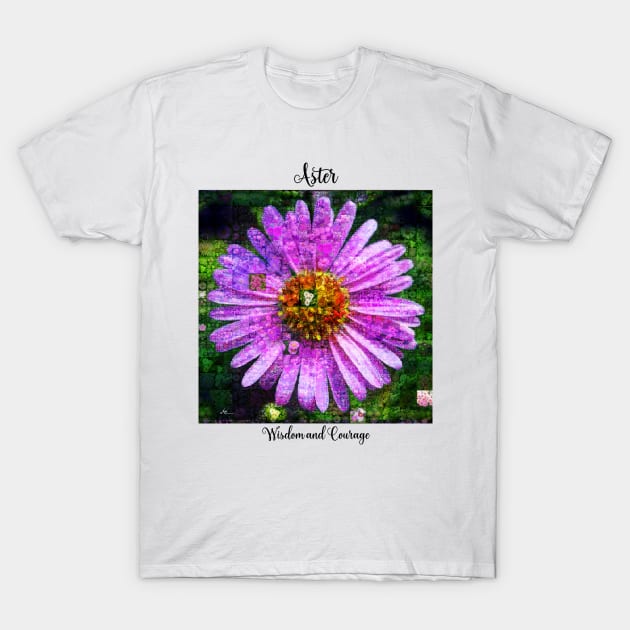 Aster Birth Month Flower September T-Shirt by Symbolsandsigns